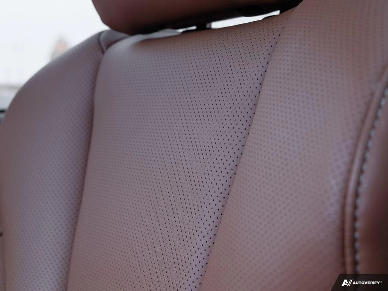 2020 Subaru Ascent Premier Main Image